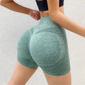 Fitness Yoga Shorts Pants Butt Lifting Seamless Leggings Women Gym Lady T Fashions