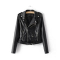 autumn and winter women's clothing coat Korean version of the Korean version of women's leather jacket fashion women's clothing wholesale Lady T Fashions
