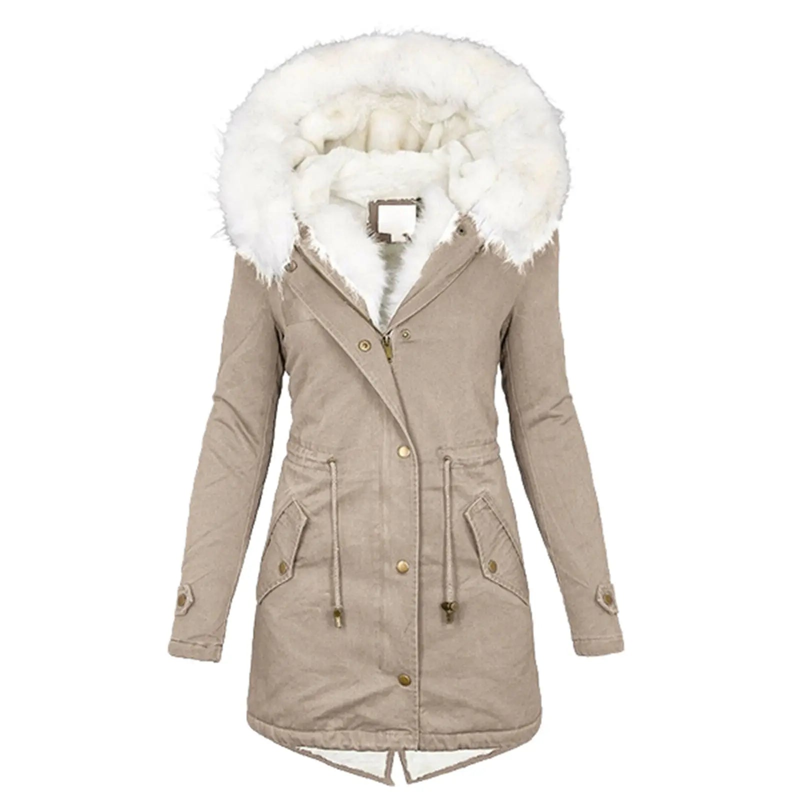 Women's cotton padded jacket with white collar Lady T Fashions
