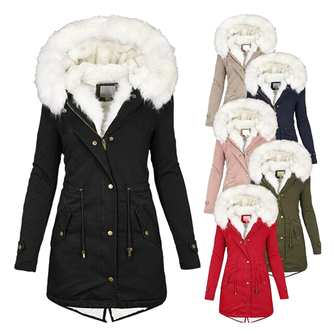 Women's cotton padded jacket with white collar Lady T Fashions