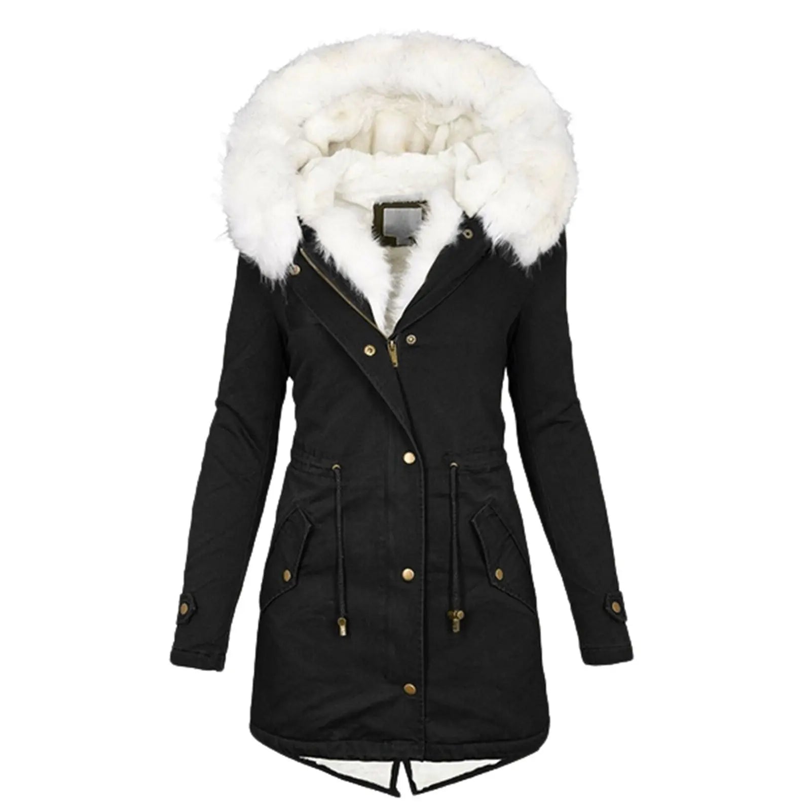 Women's cotton padded jacket with white collar Lady T Fashions