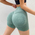 Women Shorts Sports For Women New Cycling Jogging Fitness High Waist Push Up Gym Shorts Leggings Women Yoga Clothing - Lady T Fashions