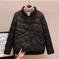 Women Jacket 2025 New Autumn Winter Parkas Female Light Thin Down Cotton Coat Femme Casual Short Warm Basic Outerwear Ladies Top - Lady T Fashions