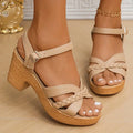 Lucyever Lightweight High Heeled Sandals for Women 2025 Summer Ankle Buckle Female Gladiator Sandal Woven Platform Sandles Woman - Lady T Fashions