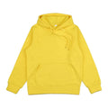 Hoodies for men and women 2025 autumn new item heavyweight American high street men's top plus size hooded pullover - Lady T Fashions