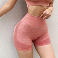 Women Shorts Sports For Women New Cycling Jogging Fitness High Waist Push Up Gym Shorts Leggings Women Yoga Clothing - Lady T Fashions