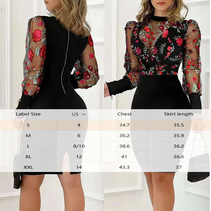 Women's Elegant Round Neck Long Sleeve See Through Floral Print Bodycon Dress For Spring & Summer Lady T Fashions